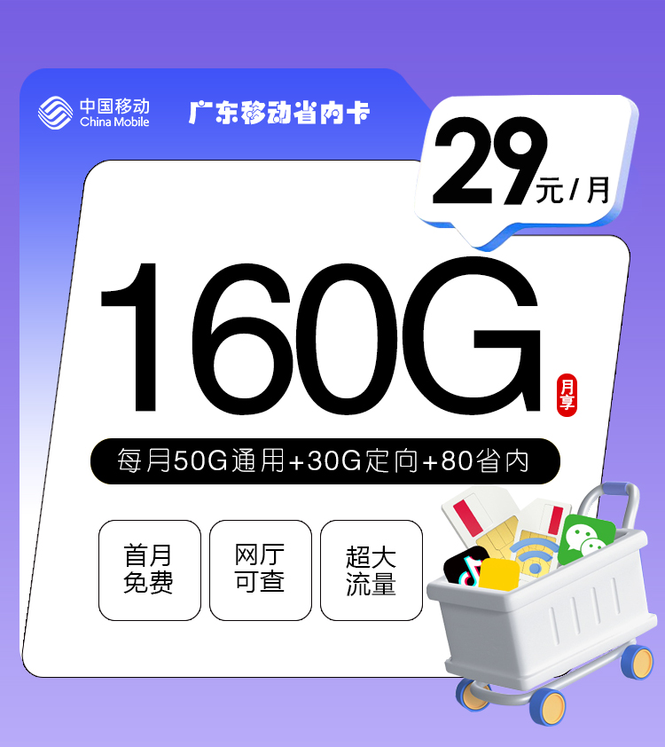 172号卡发布：广东移动省内卡【29元160G流量】  第1张